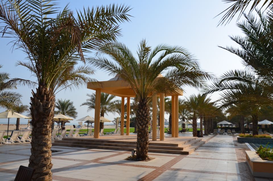 Beach Walkway